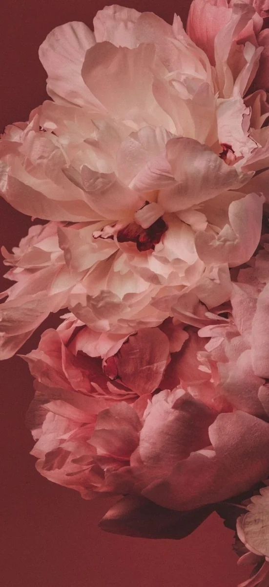 hinh-nen-tinh-duyen-1