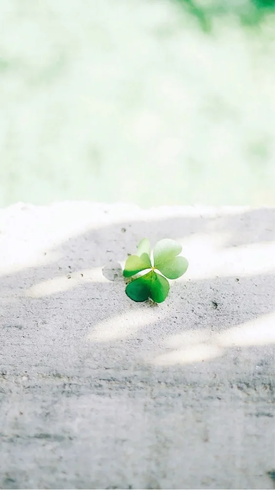 hinh-nen-trang-cay-co (11)