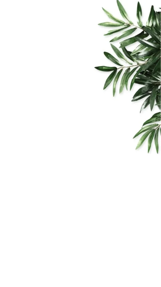 hinh-nen-trang-cay-co (18)