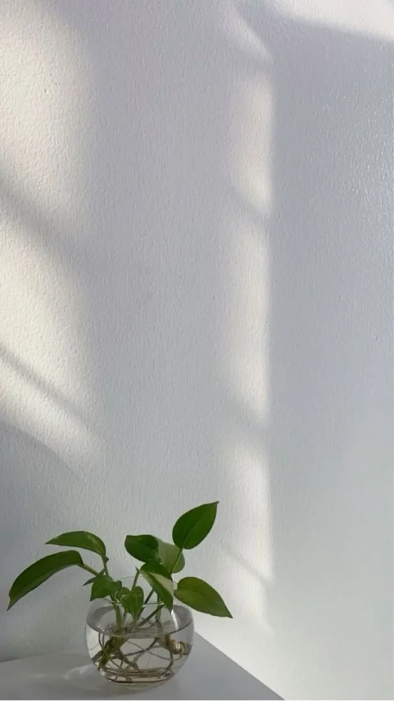 hinh-nen-trang-cay-co (4)