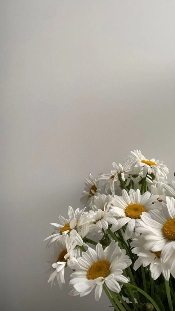 Hinh-nen-trang-co-hoa (11)