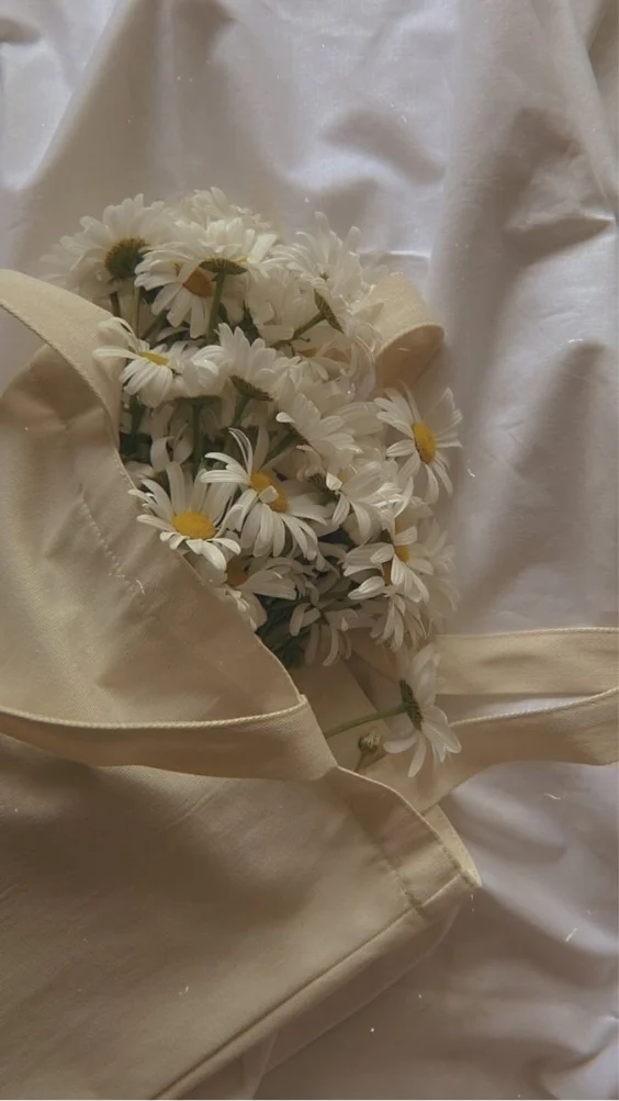 Hinh-nen-trang-co-hoa (12)