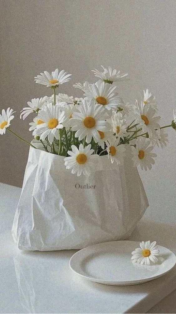 Hinh-nen-trang-co-hoa (14)