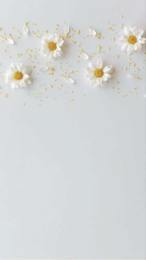 Hinh-nen-trang-co-hoa (8)