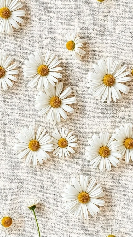 Hinh-nen-trang-co-hoa (9)