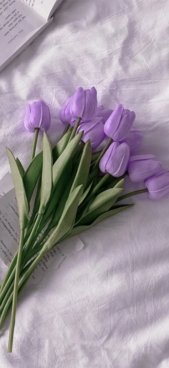 hinh-nen-tulip-tim-2