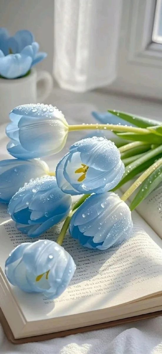 hinh-nen-tulip-xanh-duong-3