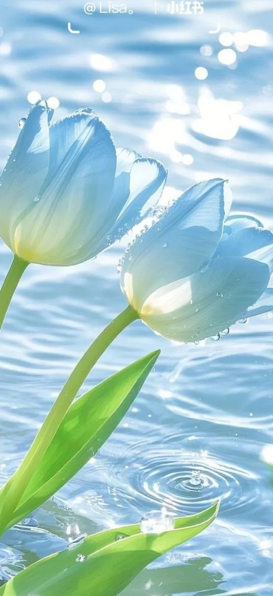 hinh-nen-tulip-xanh-duong-5