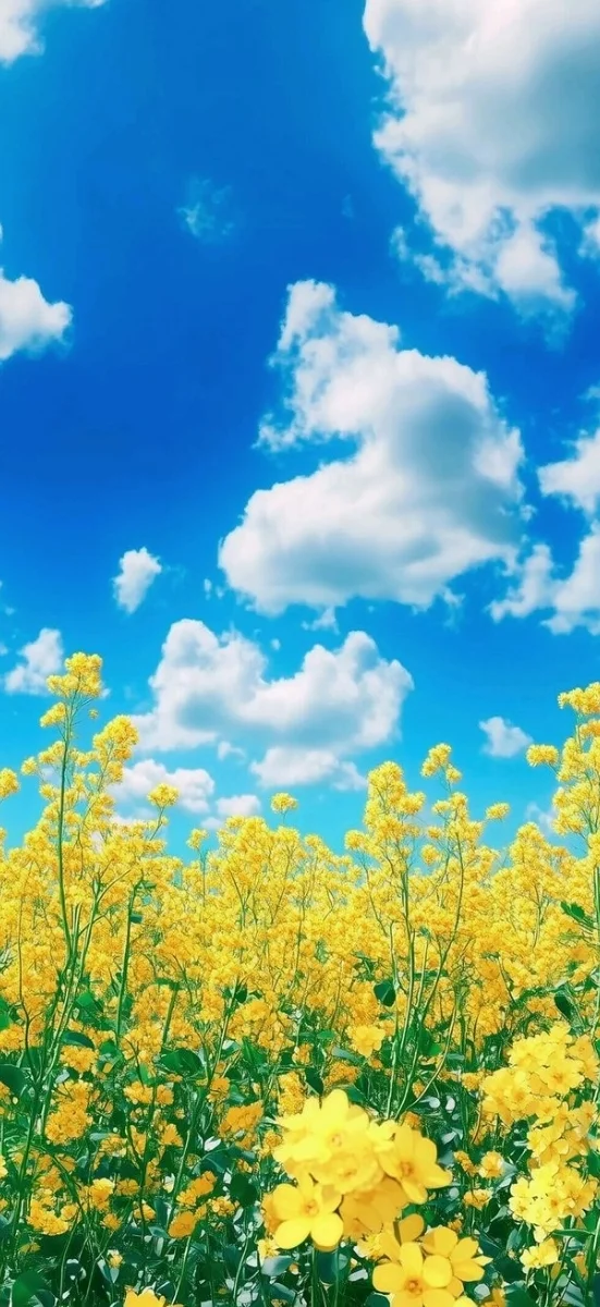 hinh-nen-vang-ruc-ro-cho-dien-thoai (26)