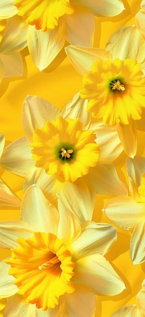 hinh-nen-vang-ruc-ro-cho-dien-thoai (36)