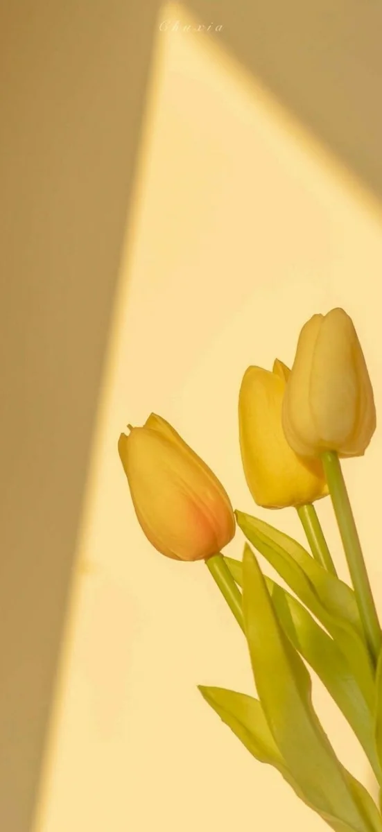 hinh-nen-vang-ruc-ro-cho-dien-thoai (47)