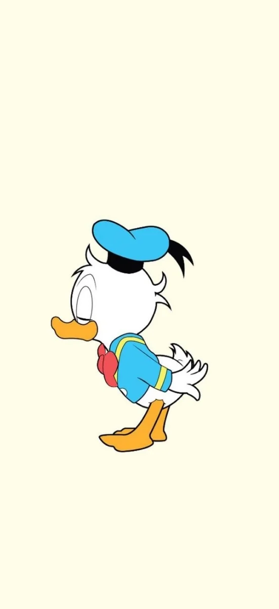 hinh-nen-vit-Donal-9