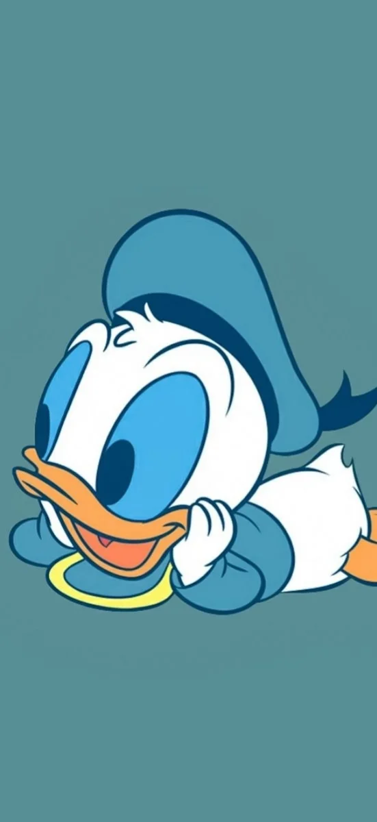 hinh-nen-vit-Donal-10