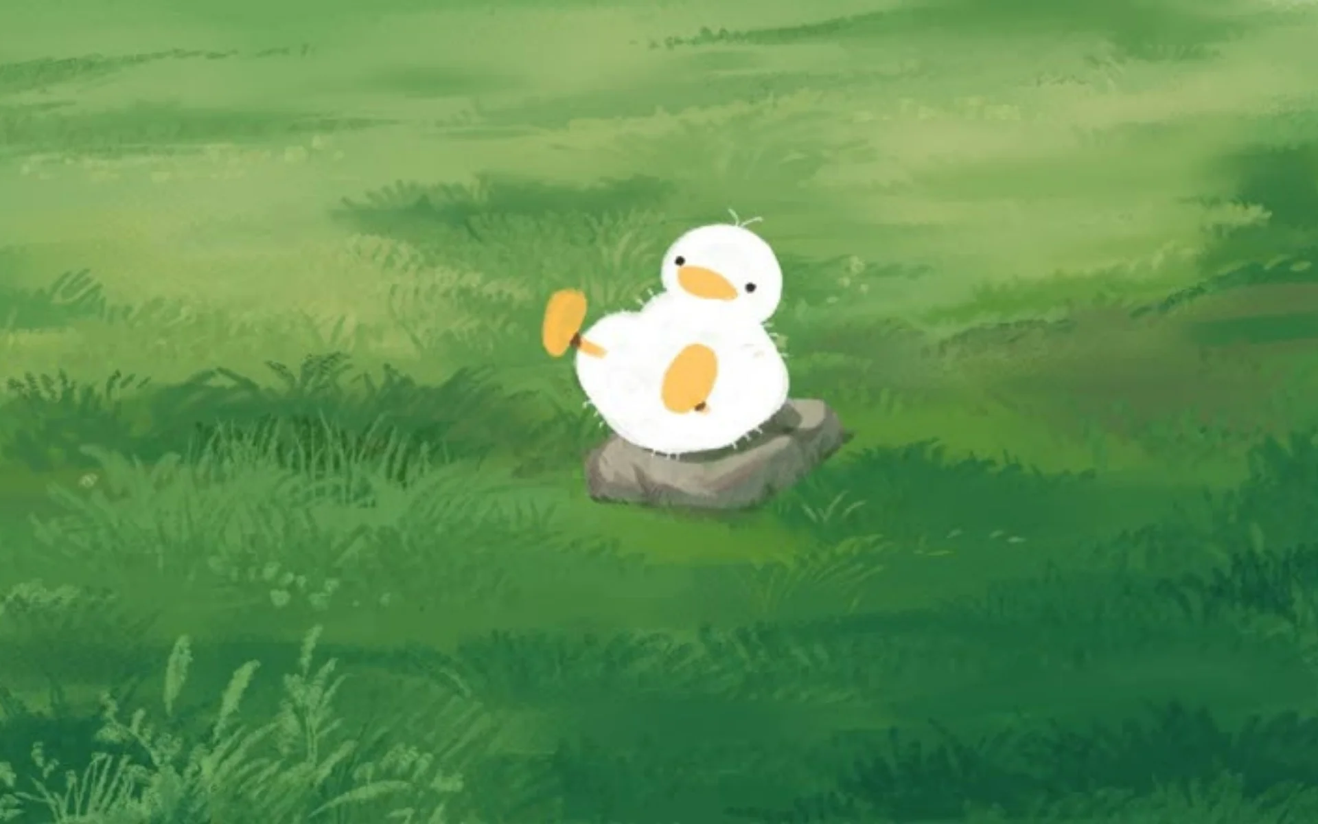 hinh-nen-vit-cho-may-tinh (2)