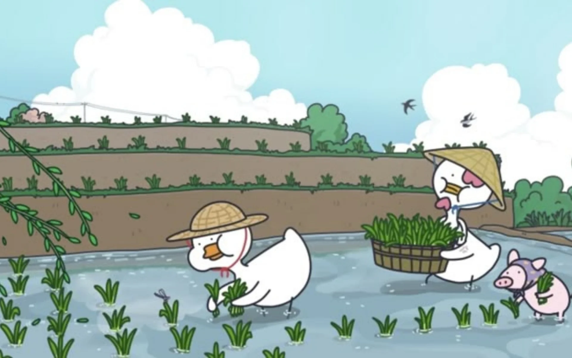 hinh-nen-vit-cho-may-tinh (5)