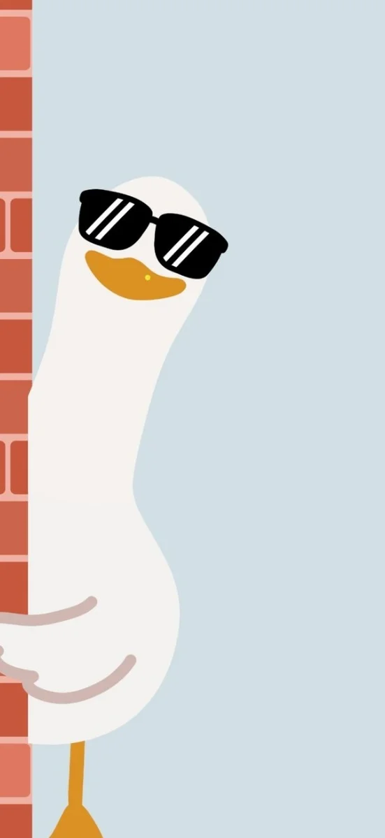 hinh-nen-vit-trang-ngau