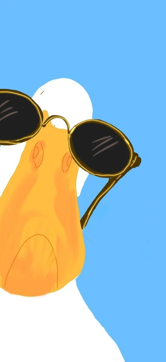 hinh-nen-vit-haihuoc (9)