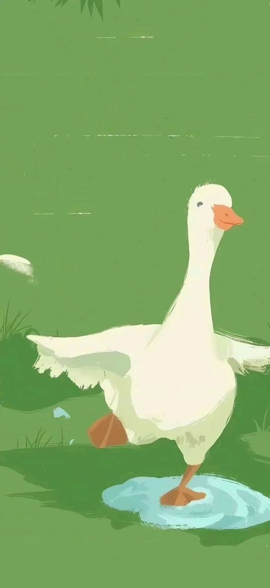 hinh-nen-vit-trang (7)