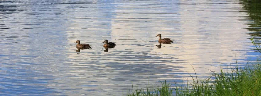 hinh-nen-vui-nhon-53-1