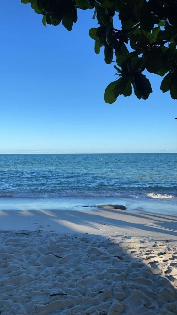 hinh-nen-xanh-duong-diu-mat (5)