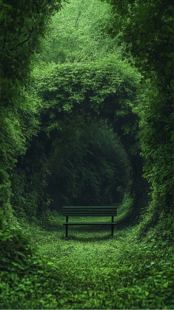 hinh-nen-xanh-la-doc-dao (18)