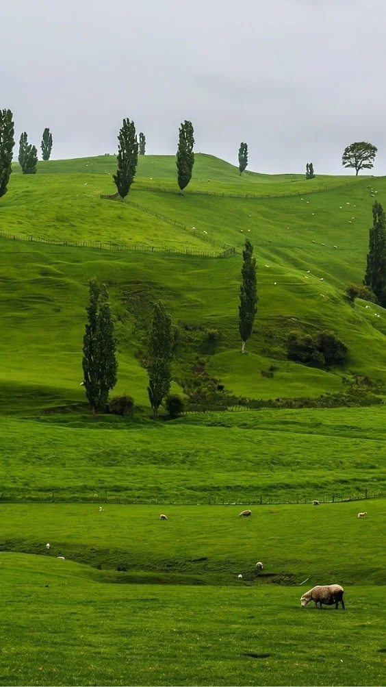 hinh-nen-xanh-la-doc-dao (20)