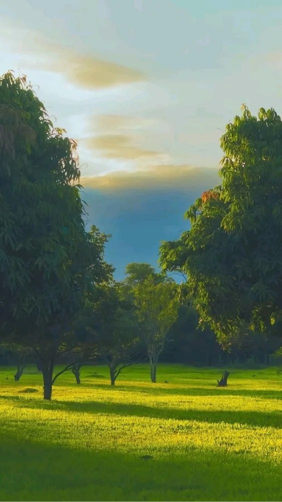 hinh-nen-xanh-la-doc-dao (21)