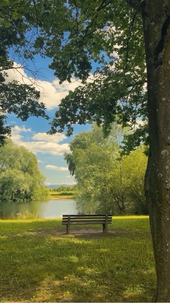 hinh-nen-xanh-la-doc-dao (23)