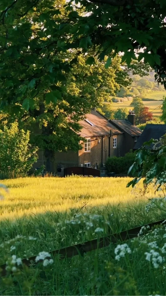 hinh-nen-xanh-la-doc-dao (24)