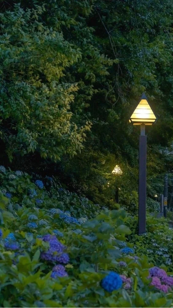 hinh-nen-xanh-la-doc-dao (25)