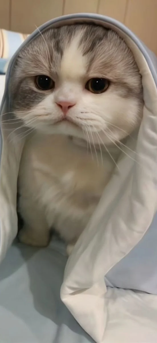 hinh-nen-xiaomi (18)