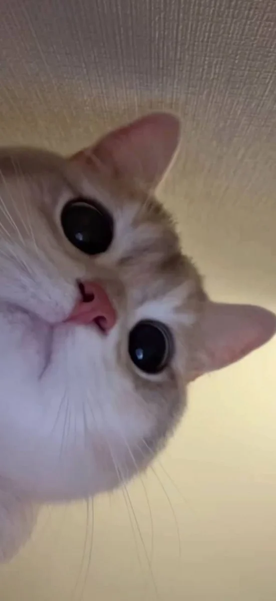 hinh-nen-xiaomi (19)