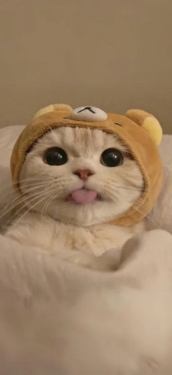 hinh-nen-xiaomi (20)