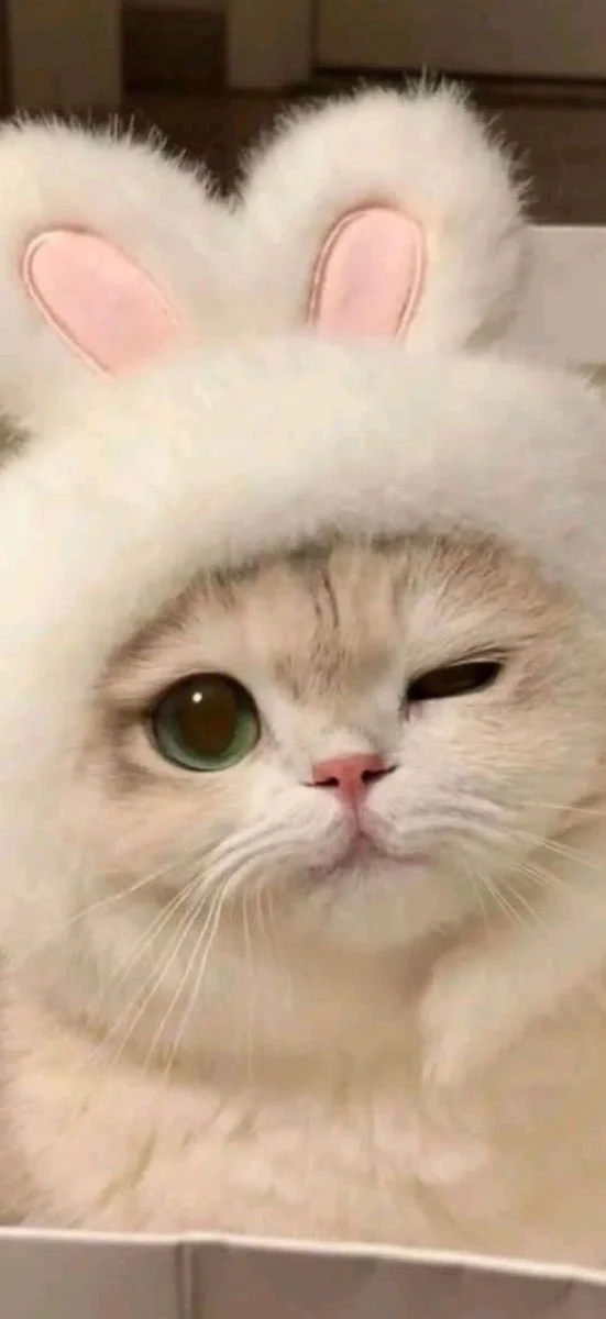 hinh-nen-xiaomi (24)