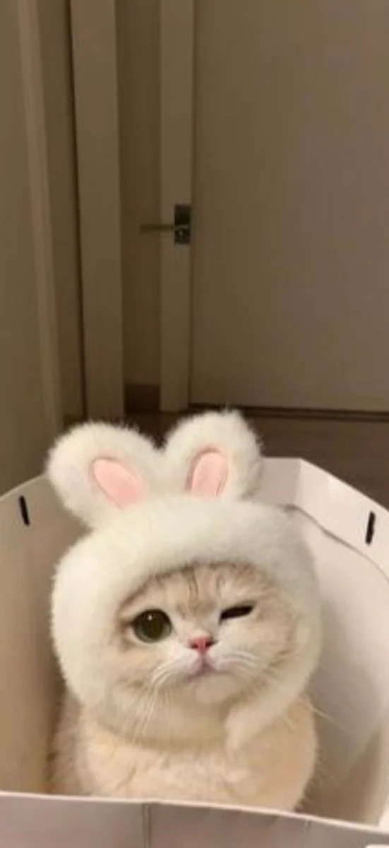 hinh-nen-xiaomi (25)