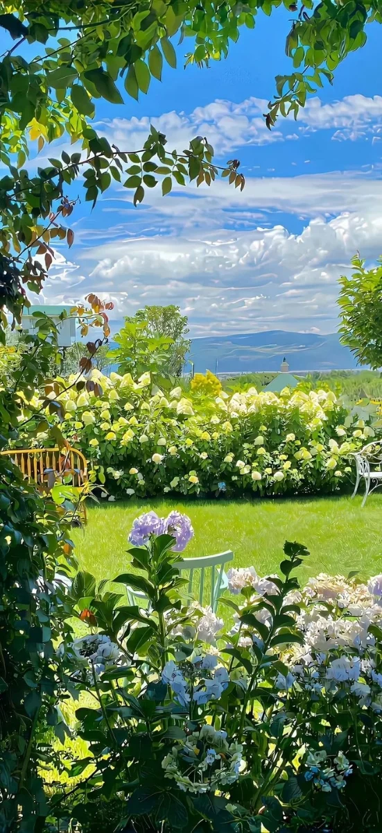 hinh-nen-xiaomi (38)