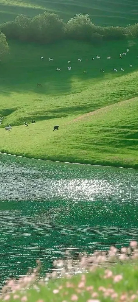 hinh-nen-xiaomi (39)