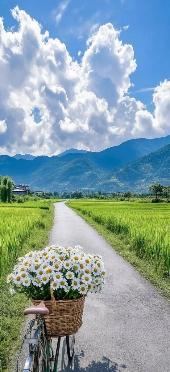 hinh-nen-xiaomi (43)