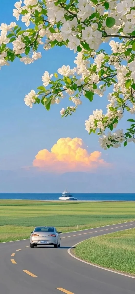 hinh-nen-xiaomi (44)