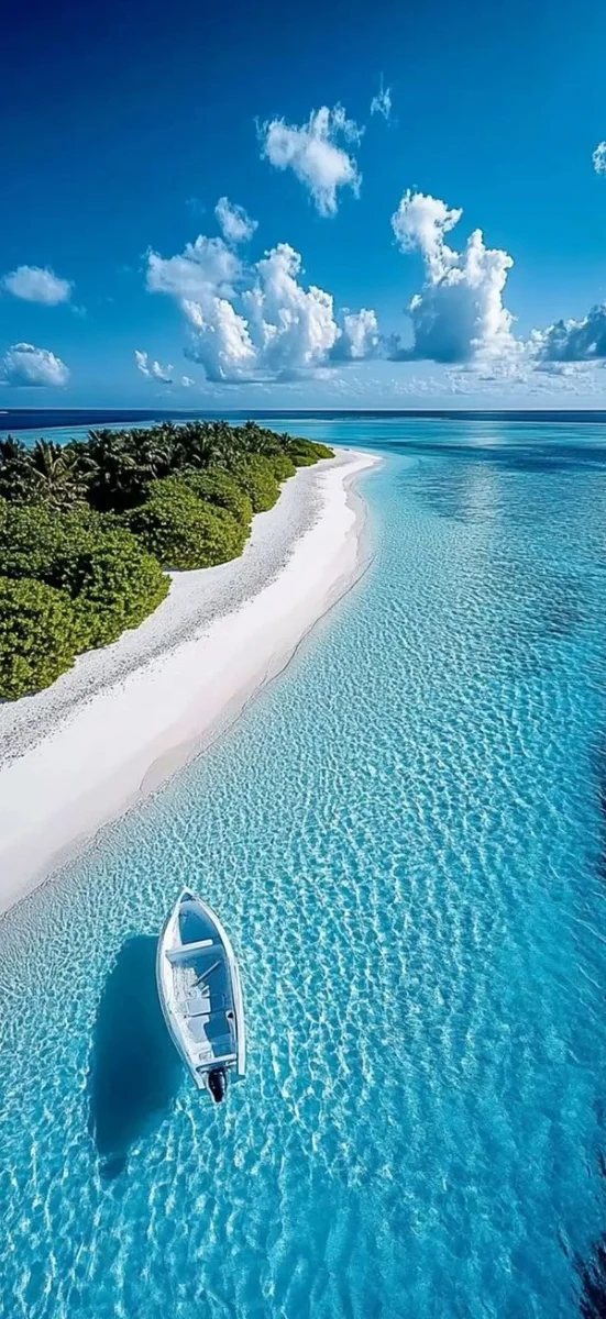 hinh-nenh-menh-thuy-11