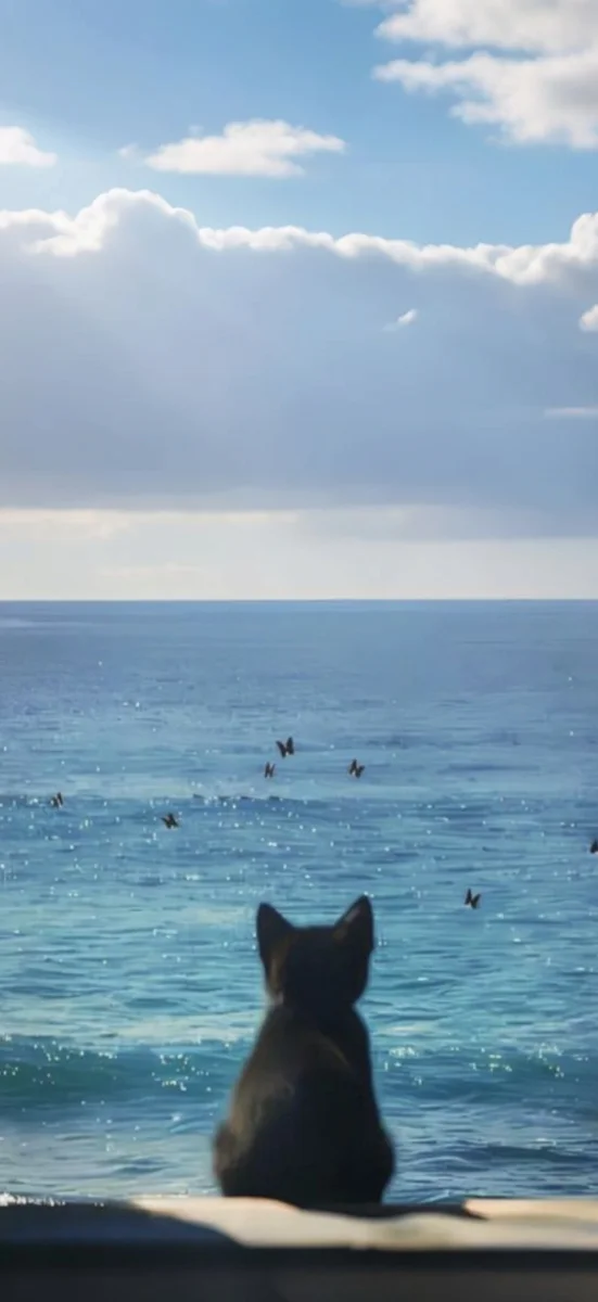 hinh-nenh-menh-thuy-4