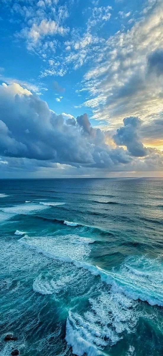 hinh-nenh-menh-thuy-5