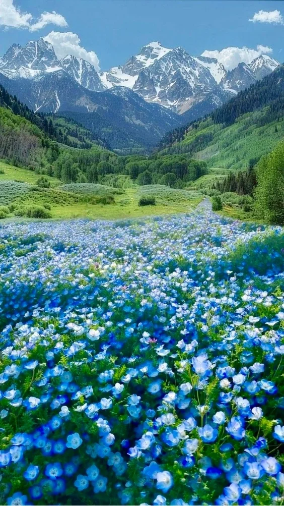 Hinh-thien-nhien-nui-non (21)