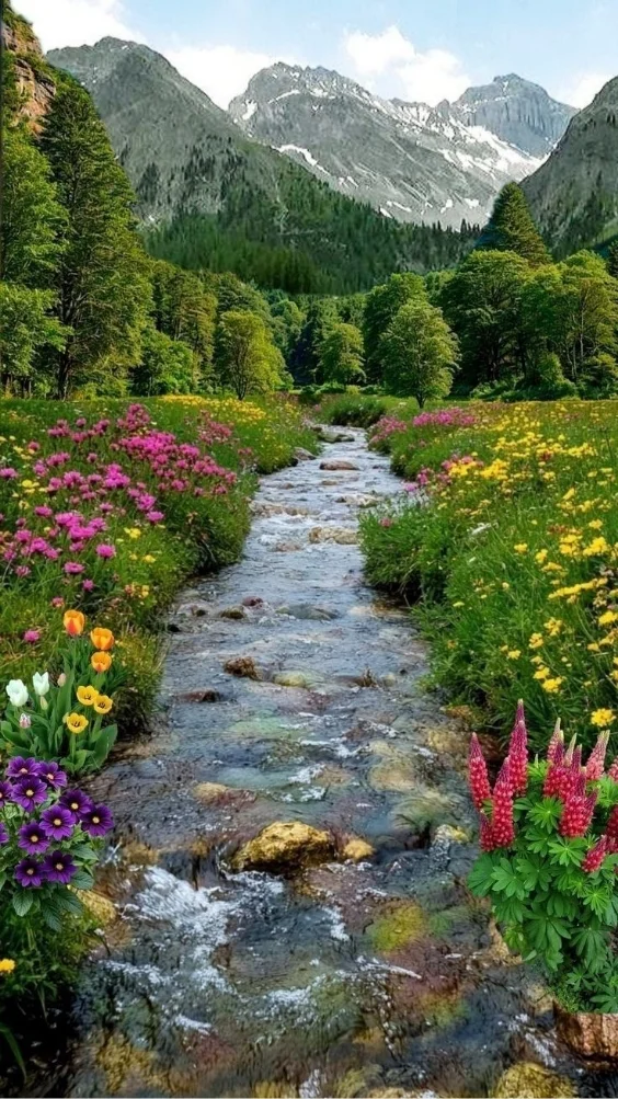 Hinh-thien-nhien-nui-non (24)