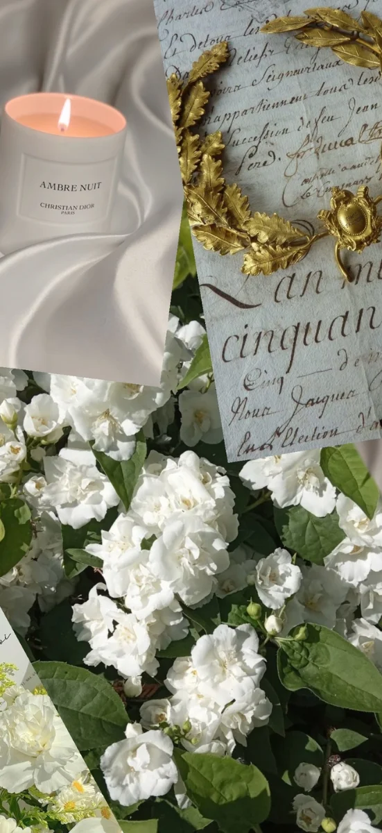 hinh-vong-nguyet-que-may-man-13