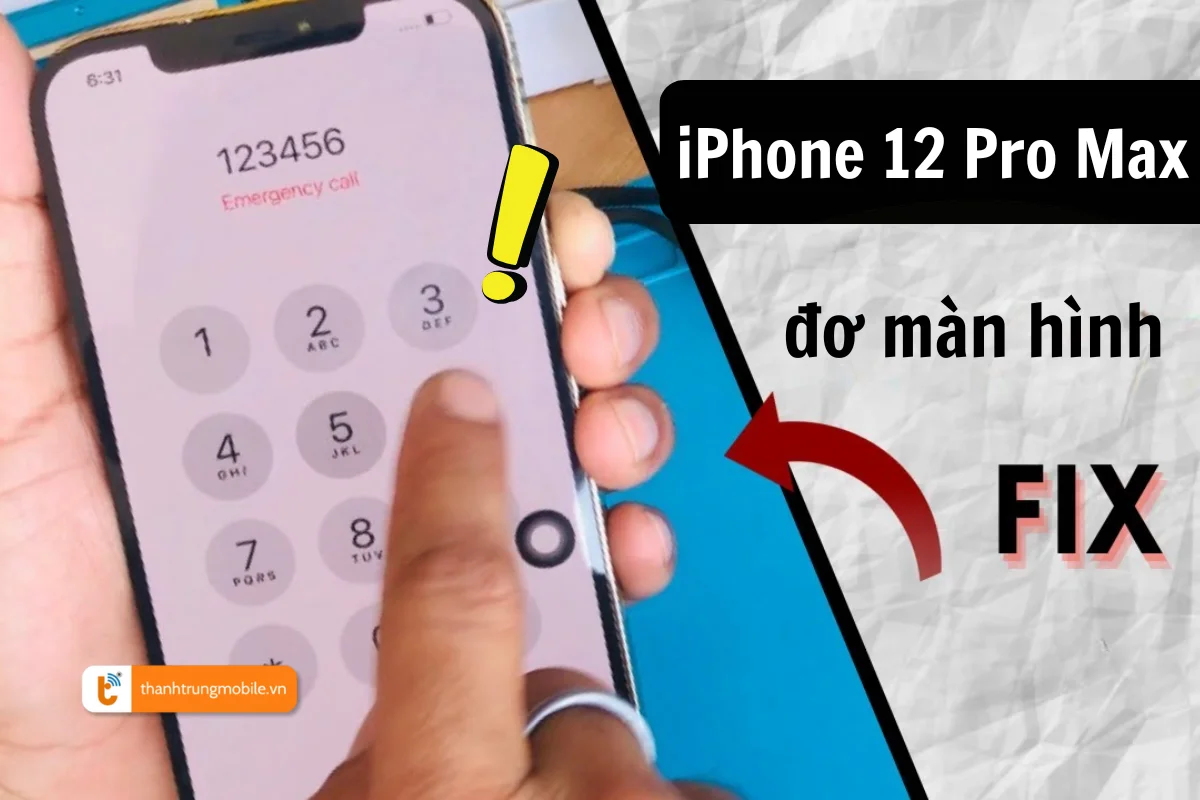iphone 12 pro max đơ màn hình