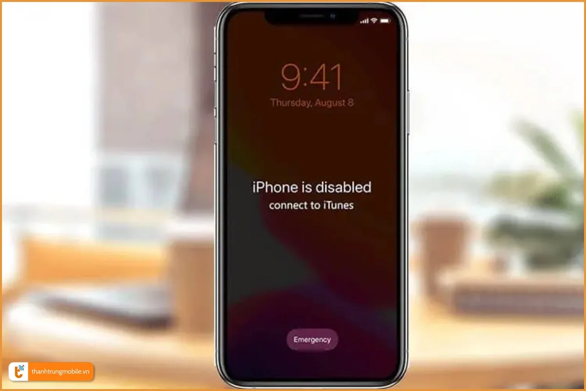 iPhone Xs Max bị vô hiệu hoá, cần restore lại