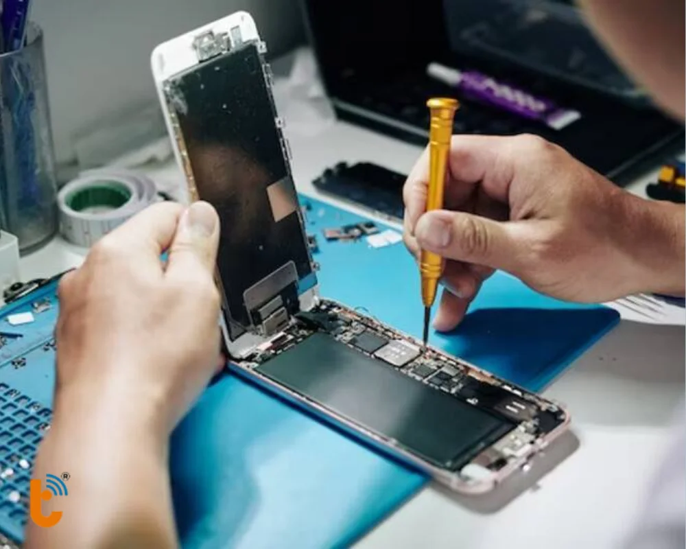 Khách hàng được quan sát trực tiếp