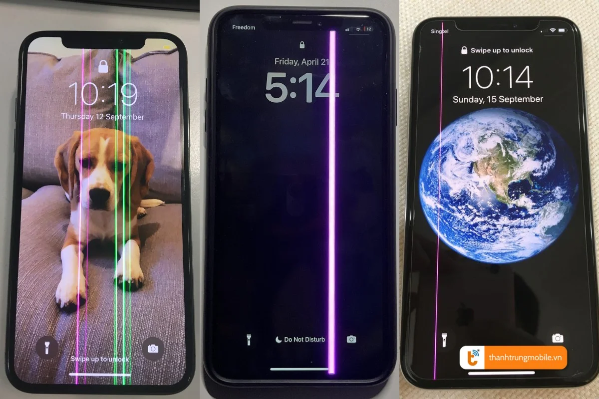 màn hình bị sọc dọc iphone