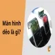 Màn hình dẻo là gì? Xu hướng công nghệ thay đổi tương lai smartphone